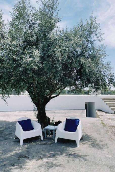ネーラス Casa Da Oliveiraヴィラ エクステリア 写真